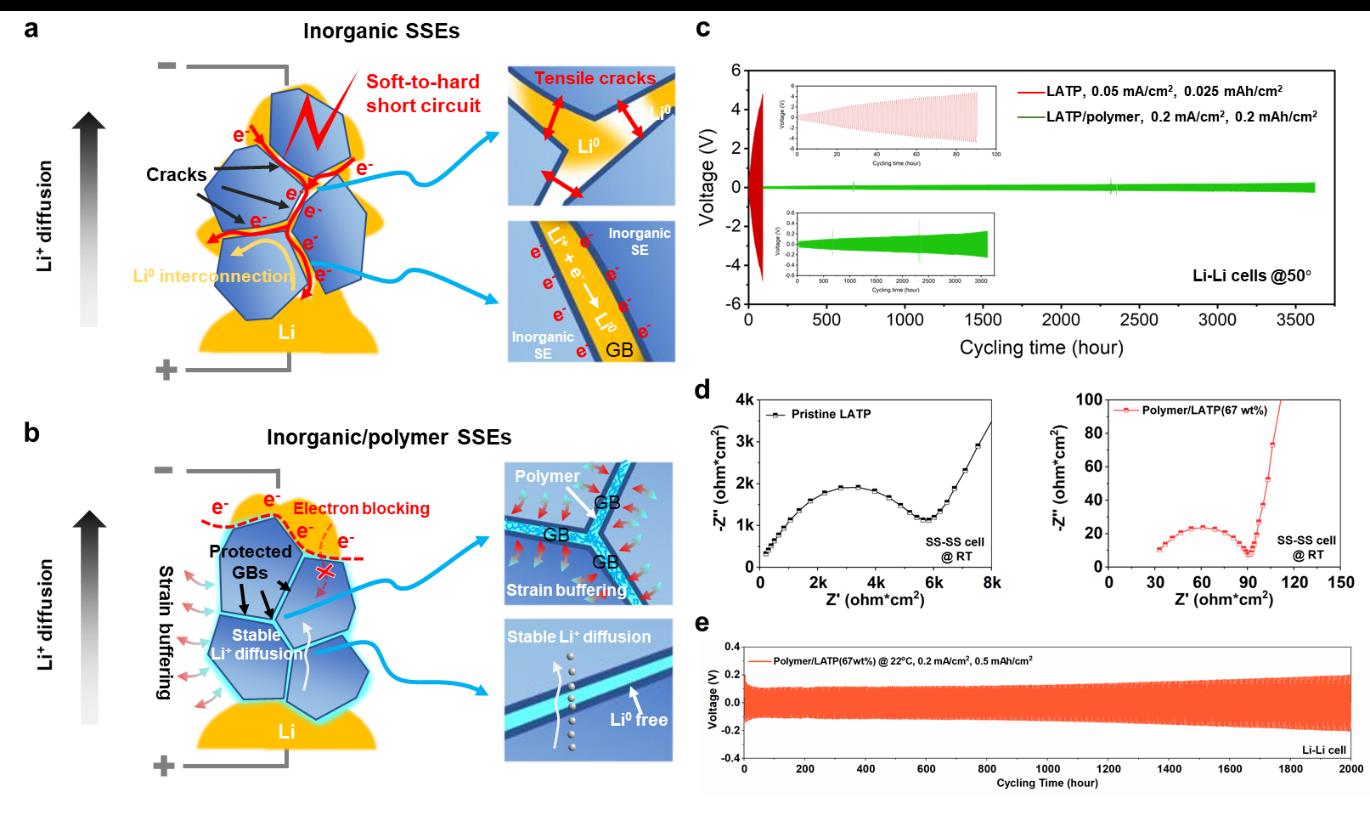 金屬所等揭示固態電解質納米尺度失效機制